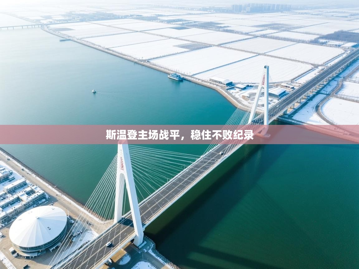 斯温登主场战平,稳住不败纪录 第2张