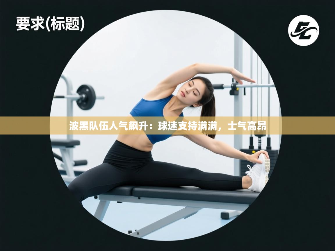 波黑队伍人气飙升：球迷支持满满，士气高昂  第1张