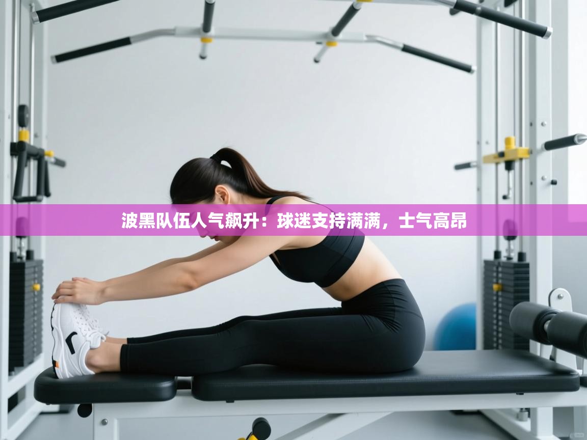 波黑队伍人气飙升：球迷支持满满，士气高昂  第2张