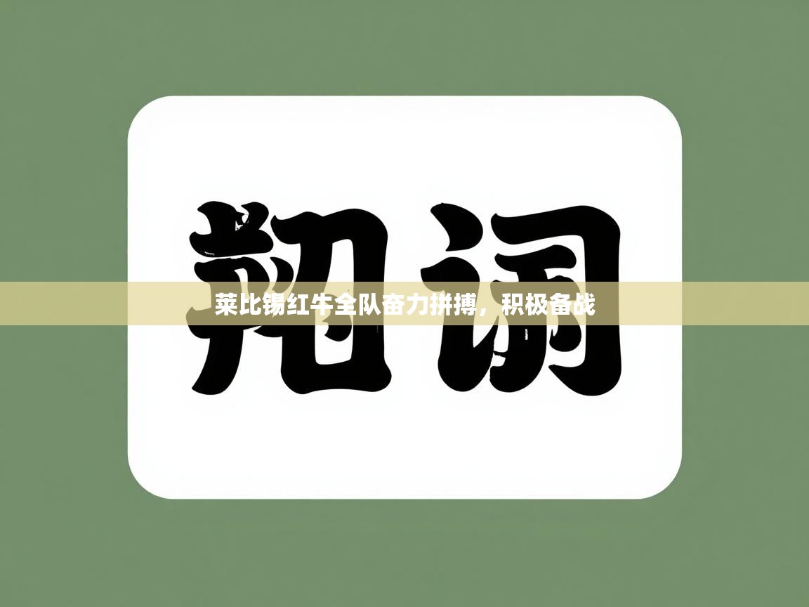 莱比锡红牛全队奋力拼搏，积极备战  第2张