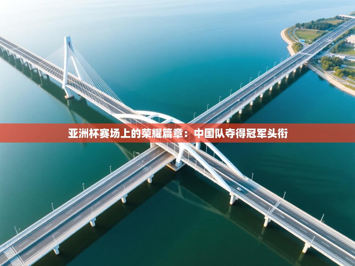 亚洲杯赛场上的荣耀篇章:中国队夺得冠军头衔 第1张