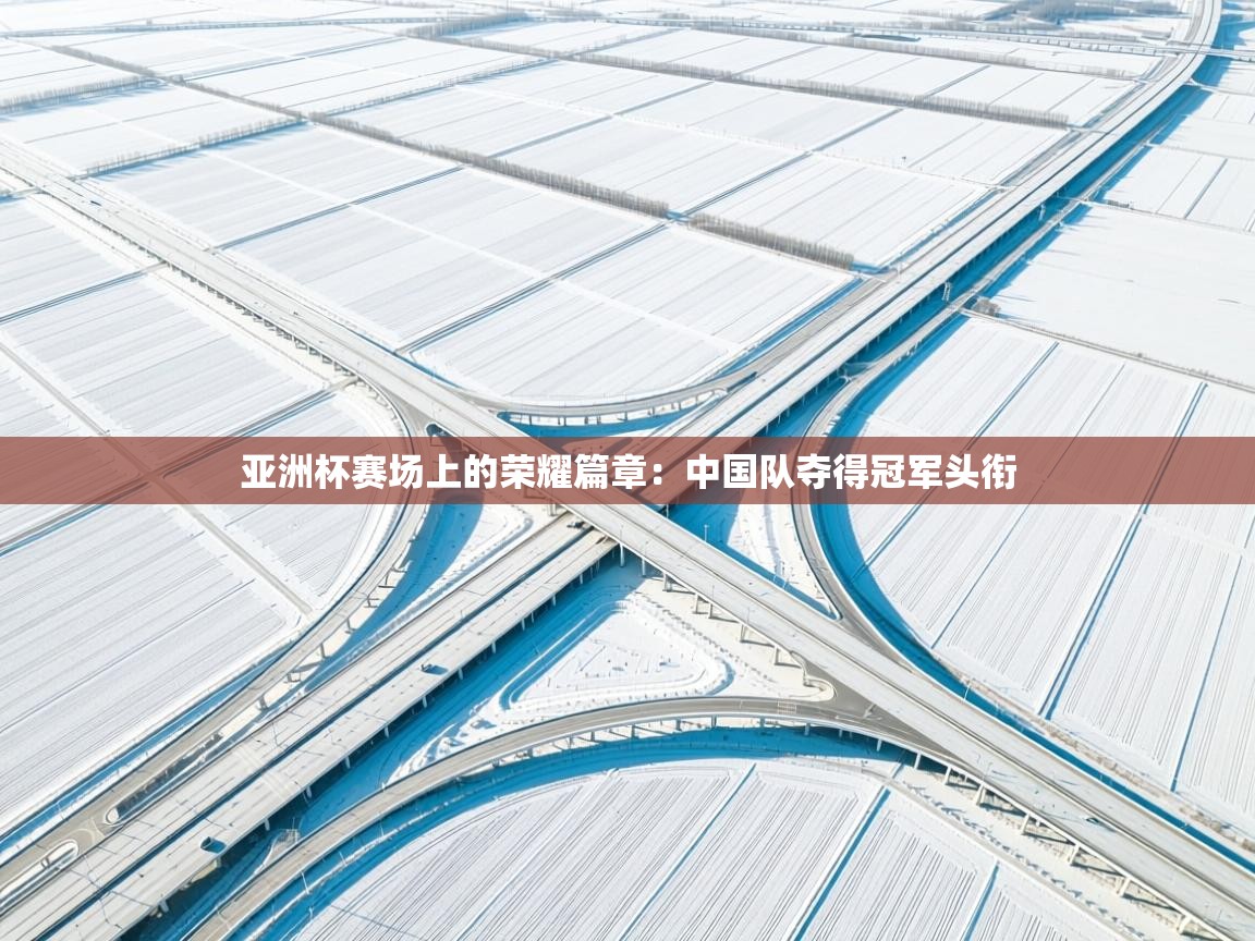 亚洲杯赛场上的荣耀篇章:中国队夺得冠军头衔 第2张