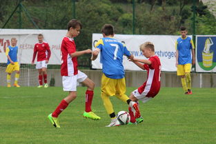 开云体育在线直播-火箭队引进资深教练，力争冲击西部前八！